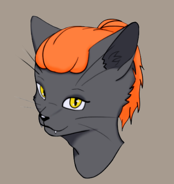 Martin_the_magic_cat's Avatar